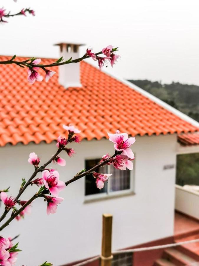 O Refugio Villa Coimbra Bagian luar foto