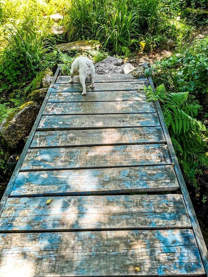 O Refugio Villa Coimbra Bagian luar foto